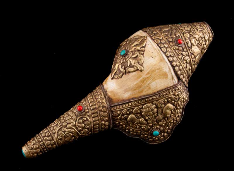 Gros Coquillage Servant D Instrument De Musique