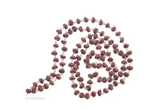 MALA ROSAIRE HINDOU EN GRAINES DE RUDRAKSH RUDRAKSHA SACREE  6-8 mm  AJ 8446