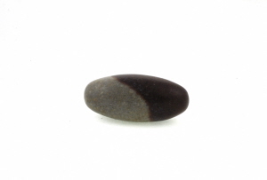 080709moyenlingam_dsc0035
