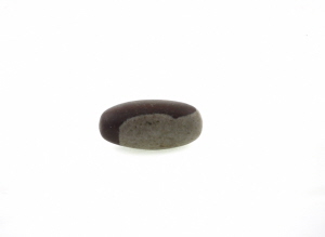 080709petitlingam_dsc0003