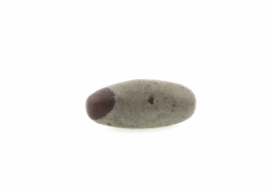 080709petitlingam_dsc0012