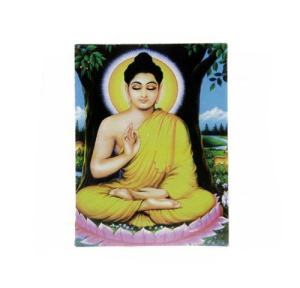 211110-lingam-008