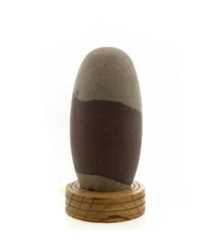 270211-lingam-012
