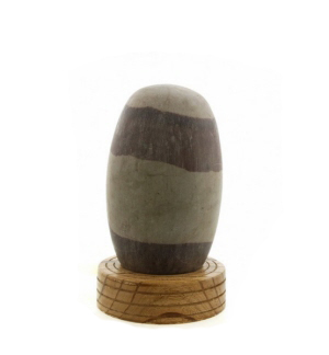 270211-lingam-013