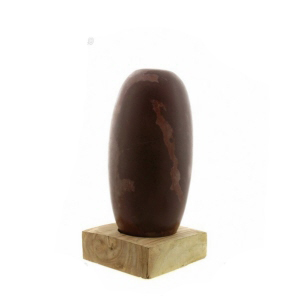 270211-lingam-023