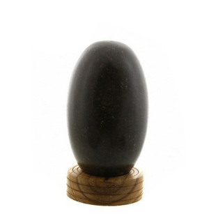 270211-lingam-026