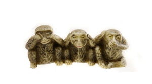 singes290310039