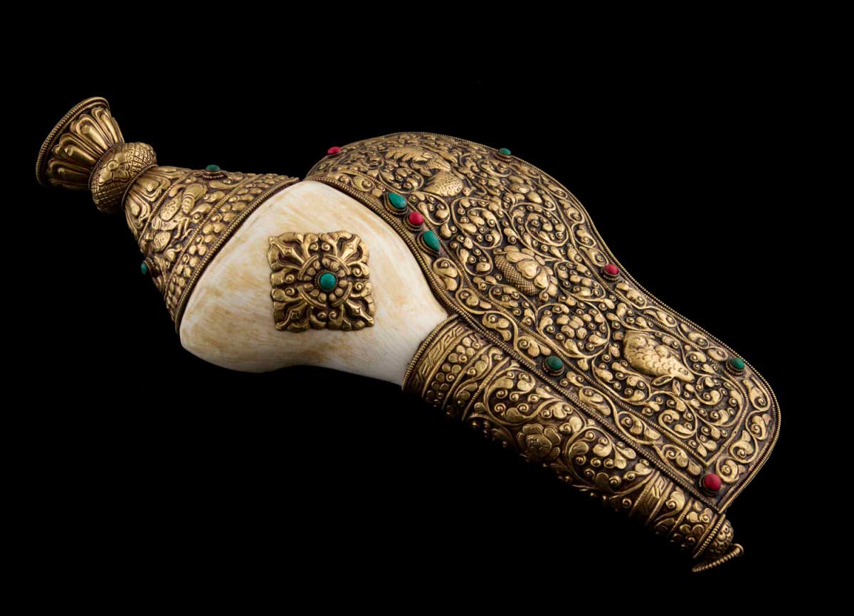 COQUE DE CONQUE SHANKHA SHANKH EXCLUSIVE AVEC