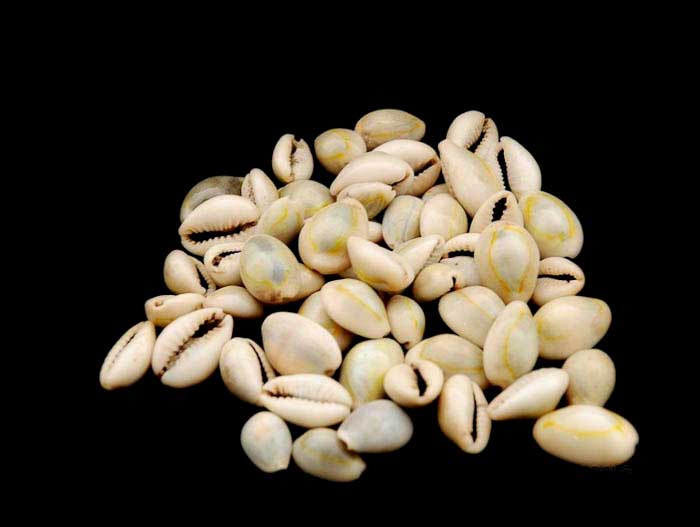 25 perles boules de feutre feutrine naturelle ø entre 1 et 1.5 cm Nepal PR 